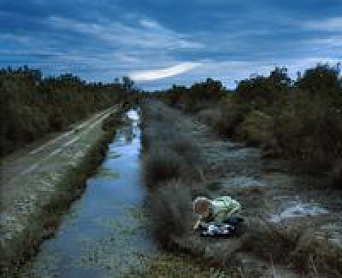 Mireille Loup série Nocturnes et les garçons perdus