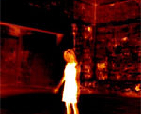 Erik Steffensen - Stalker