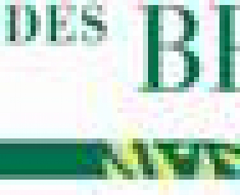 Remise du  Prix de Photographie de l'Académie des Beaux-Arts