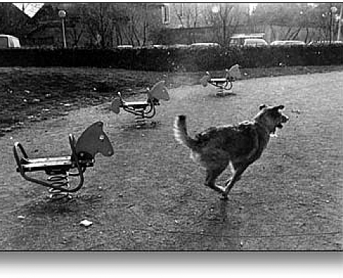 Roland Laboye exposition