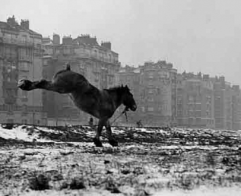 Sabine Weiss Un demi-siècle de photographies
