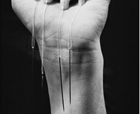 David Miguel photographies au Studio Art and You