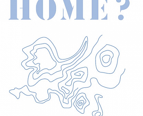 Home ? Figures des migrations