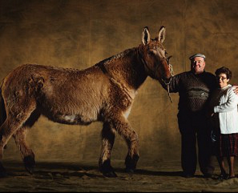 Yann ARTHUS-BERTRAND « BESTIAUX, un patrimoine français »