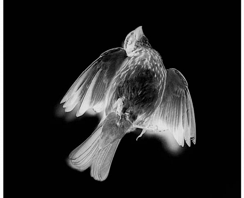 Chris Knudsen A brief history of time