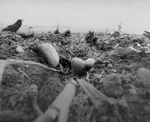 Raymond Meeks - a clearing / nevermore Raymond Meeks - a clearing / nevermore