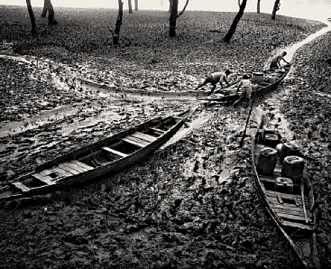 Munem Wasif - Durabilité et salinité à Satkhira: images du Bangladesh