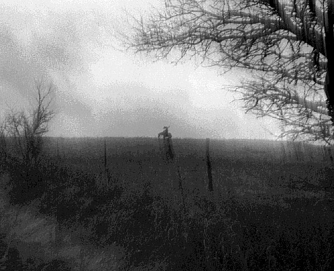 Antonin Kratochvil - In God's country