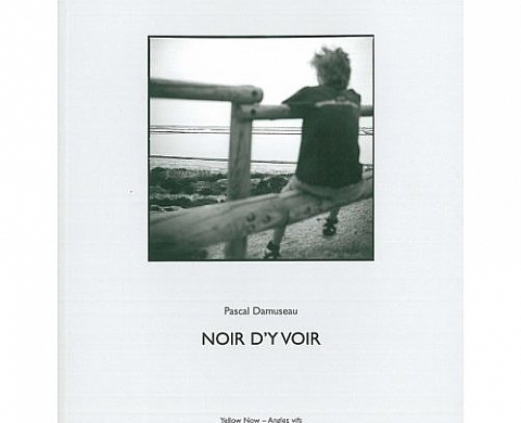 Pascal Damuseau Noir d'y voir Pascal Damuseau Noir d'y voir