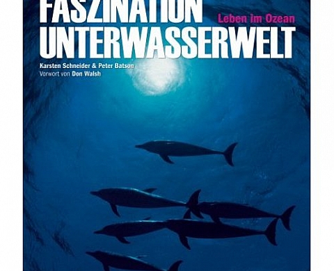 Into the Deep Earth's Oceans Into the Deep Earth's Oceans