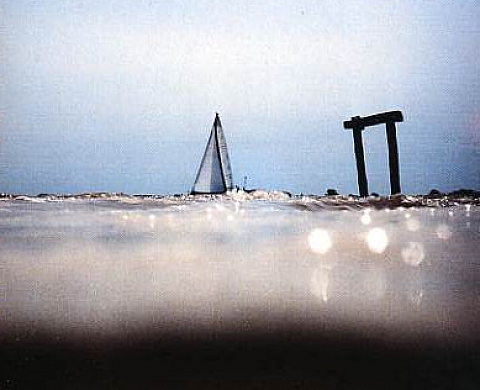 Daniel Nouraud - TERRAQUAE Paysage entre terre et eau