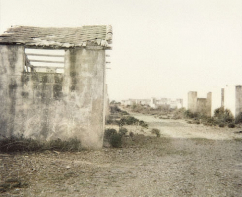 Flore - Diptyque sur le Camp de Concentration de Rivesaltes