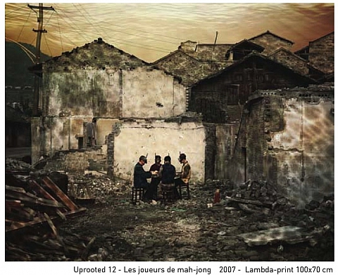 Yang Yi - Uprooted (Déraciné) Yang Yi - Uprooted (Déraciné)