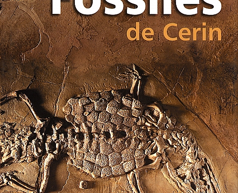 Patrick Ageneau - Fossiles de Cerin Patrick Ageneau - Fossiles de Cerin