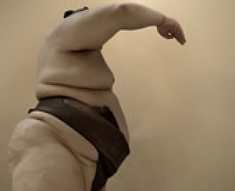 Philippe Marinig - O sumo san