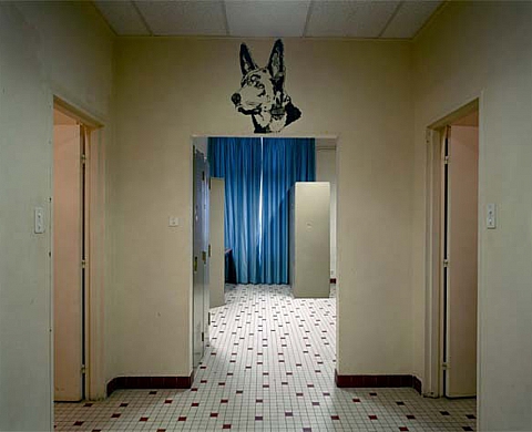 Lynne Cohen - Faites attention : Watch your step Lynne Cohen - Faites attention : Watch your step