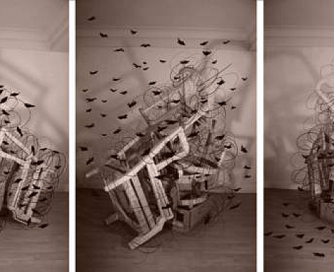 Concha García - En lo profundo del bosque