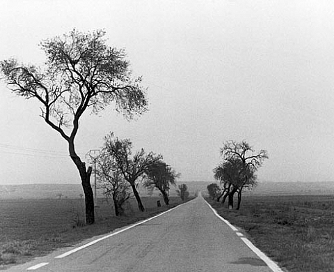Pais de Paisajes Bernard Plossu