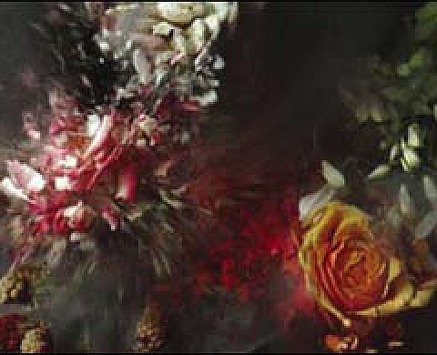 Moving Stills Dans le cadre de Mutations II - Mois Européen de la Photographie